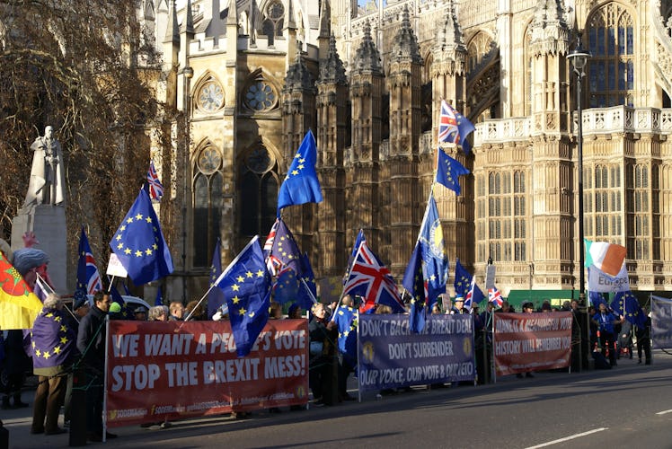 Brexit Protestors (31339189437)