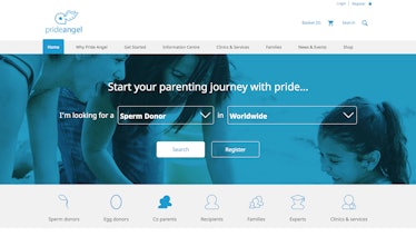 PrideAngel Website