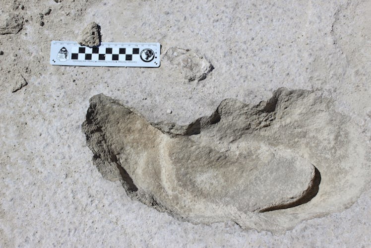 Ancient footprint