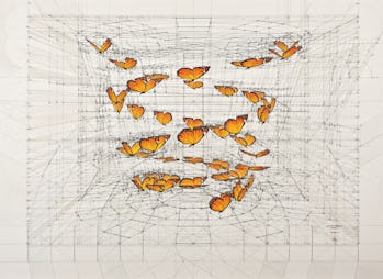 Download Rafael Araujo Draws Perfect Illustrations By Hand Using Math S Golden Ratio