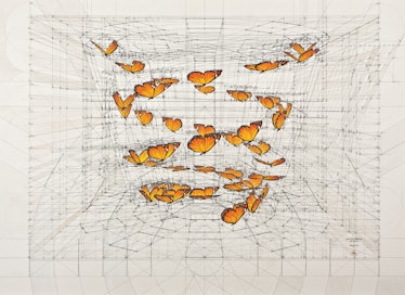 Danaus double helix painting with a lot of orange butterflies on a white background