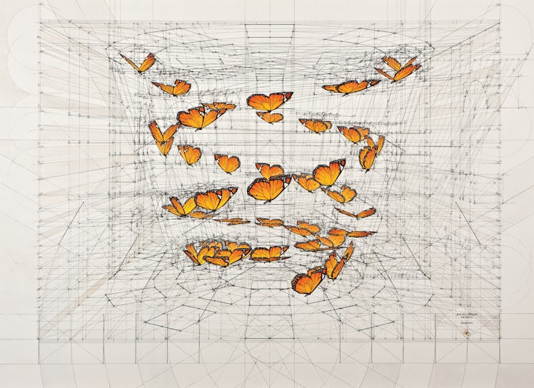 Danaus double helix painting with a lot of orange butterflies on a white background