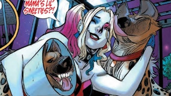 Harley Quinn with Bud and Lou birds of prey