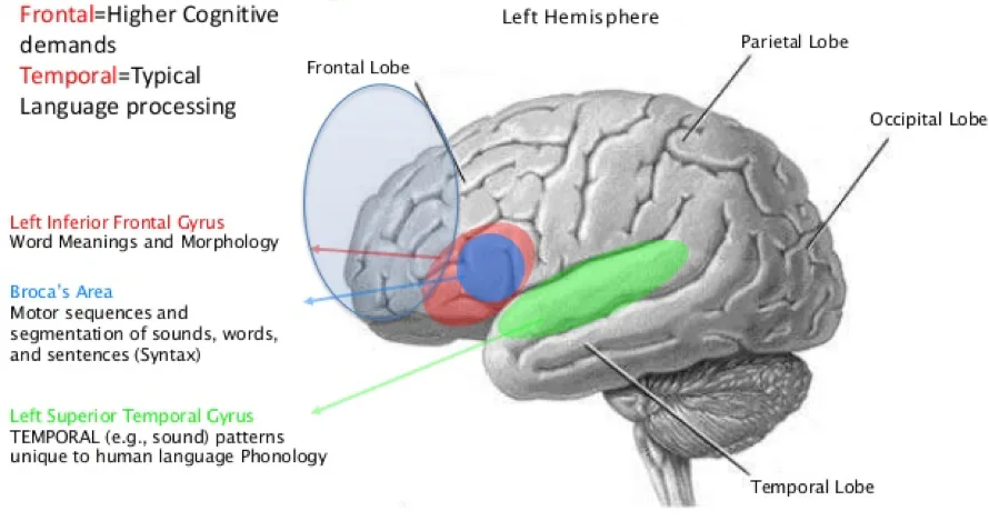 The Neurological Reason Laughter Could Be a Sign of Something Much Darker