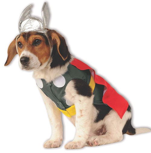Thor Pet Costume