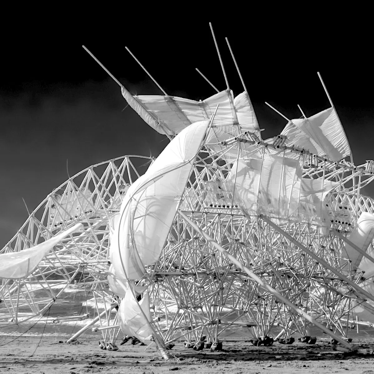 strandbeest.jpeg?w=1200&h=1200 strandbeest.jpeg?w=1200&h=1200