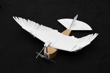 The PigeonBot prototype is equipped with 40 real pigeon feathers -- almost all from a single bird.