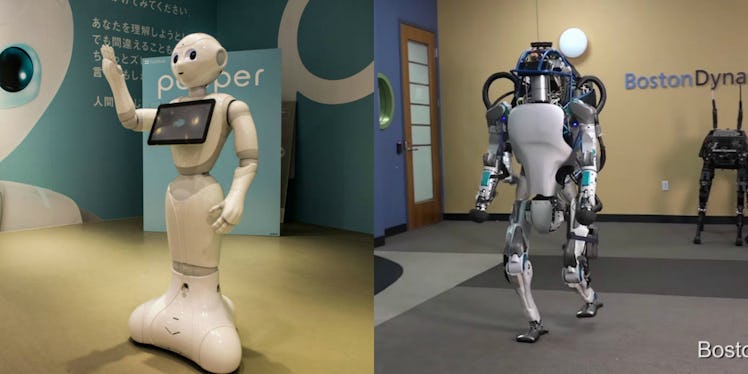 Pepper Atlas robots