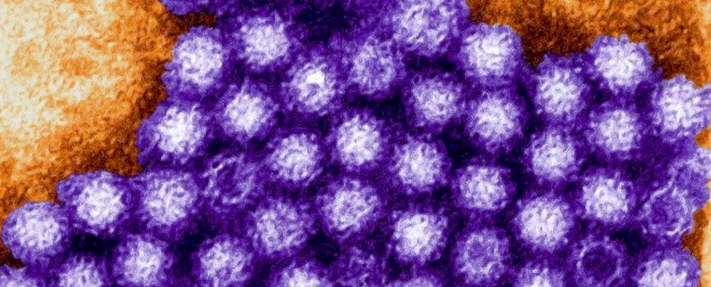 Tweet Your Vomit to Stop the Contagious Norovirus