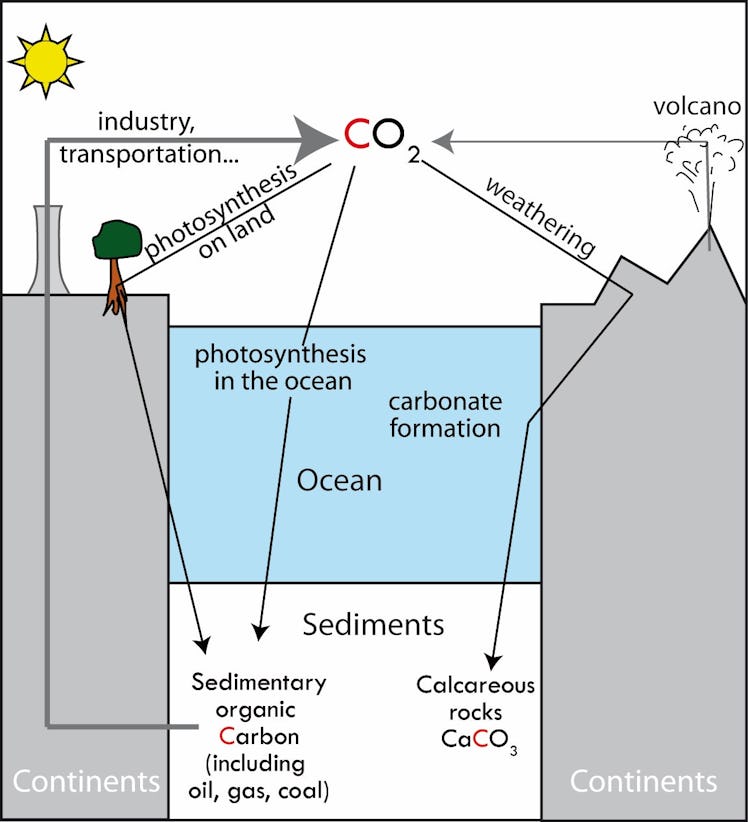 geological carbon cycle