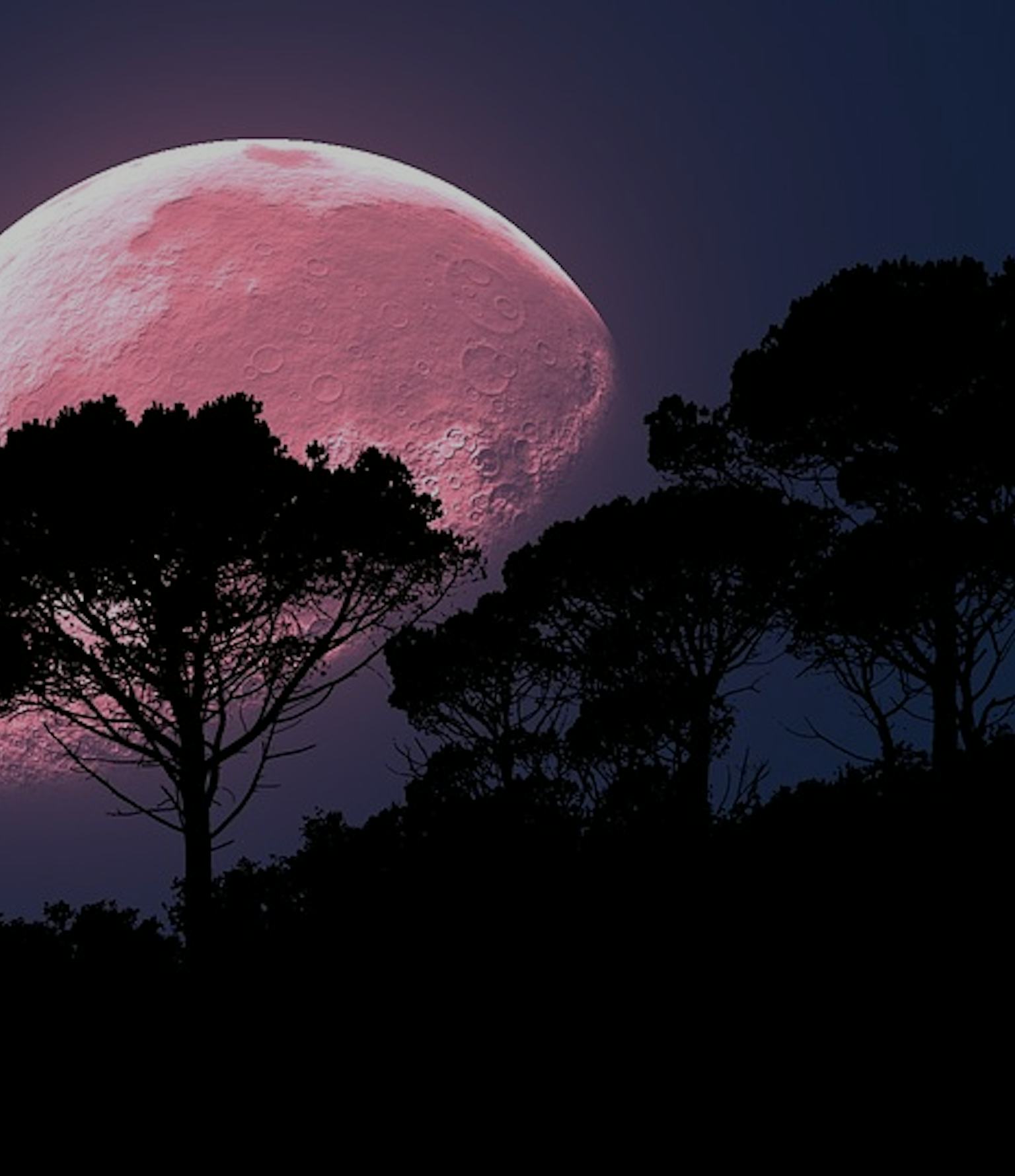 The Strawberry Moon Is Upon Us Everything You Need to Know 🍓
