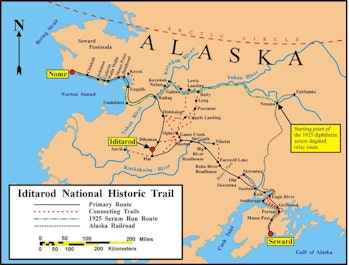 Balto led Gunnar Kaasen's dog team over the final leg of the trail from Nenana to Nome.
