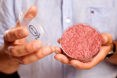 The world's first lab-grown burger.