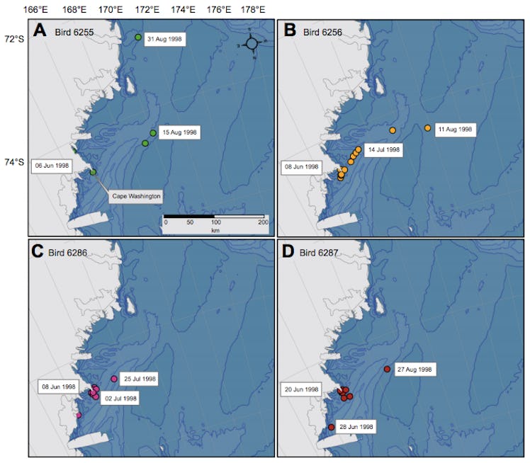 map antarctica