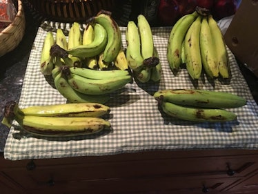 Gros Michel bananas.