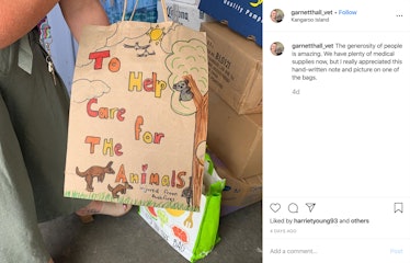 child's drawing of animals in Australia injured by brushfires