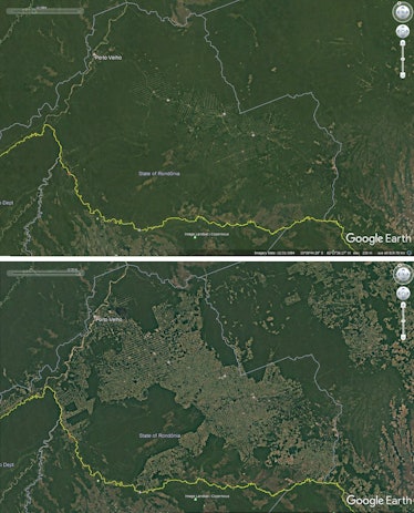 Deforestation around roads in Rondonia, Brazil, 1984-2016.