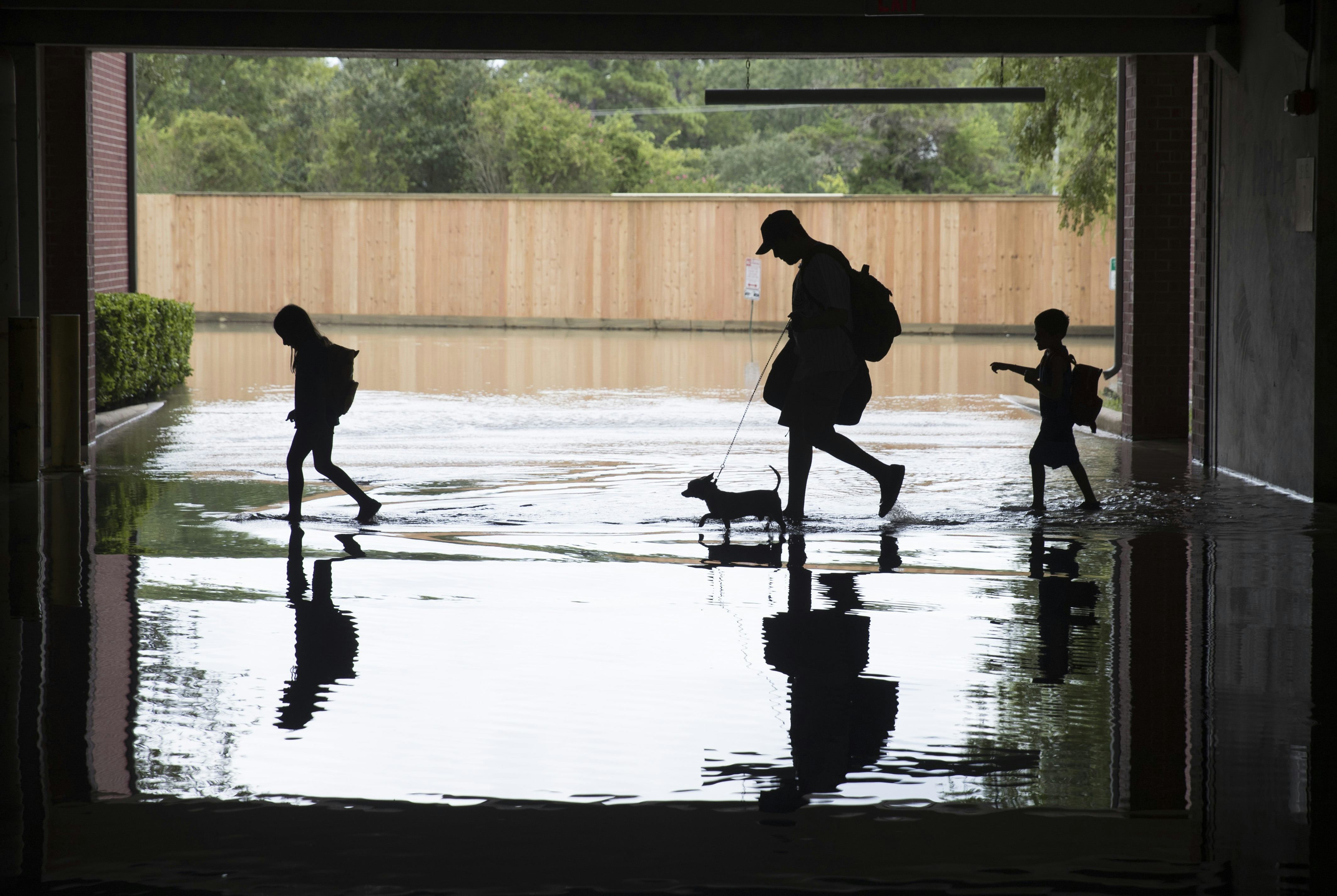 Hurricane PTSD Is Real, Warns Public Health Expert In Reddit AMA