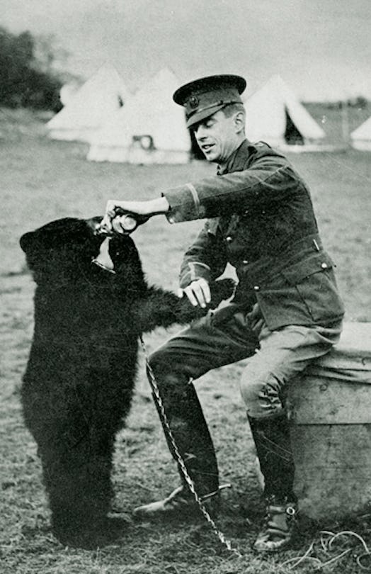 The real-life inspiration for Winnie-the-Pooh was a female black bear that was transplanted to Londo...