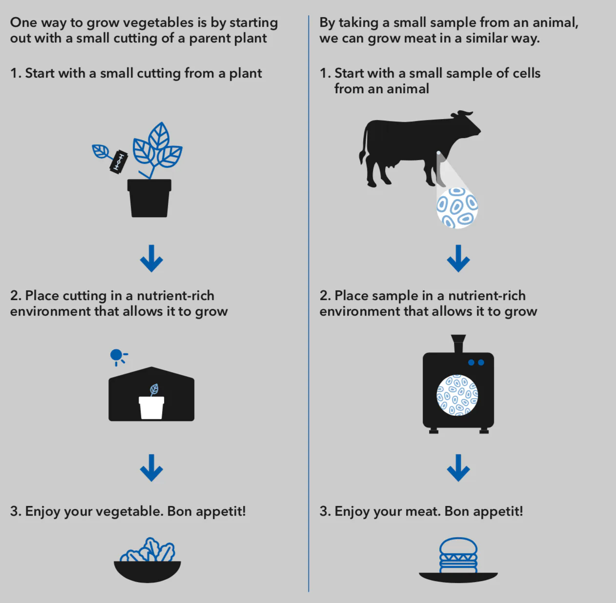 Lab-Grown Meat: Will the Booming Industry Help Benefit the Environment?