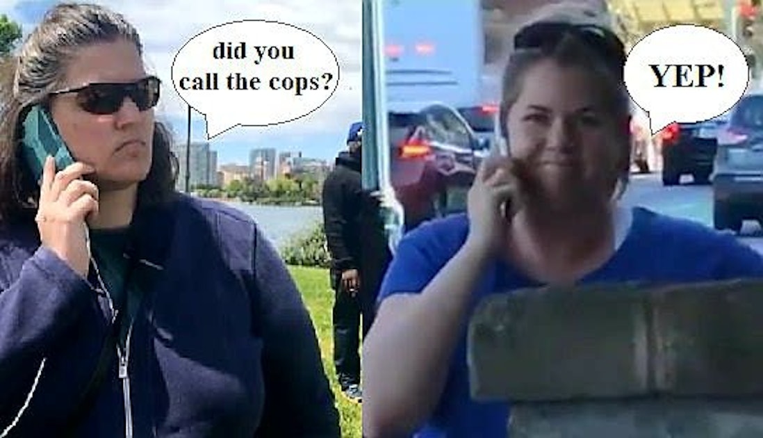 Permit Patty Bbq Becky And The Rise Of Activist Memes