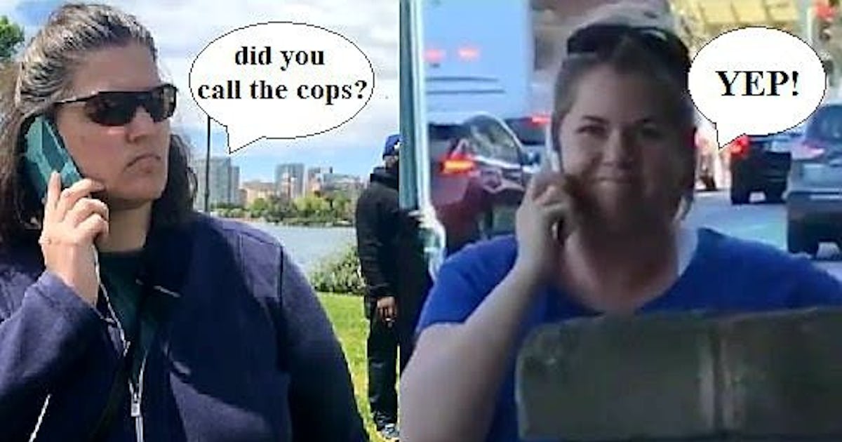 Permit Patty Bbq Becky And The Rise Of Activist Memes