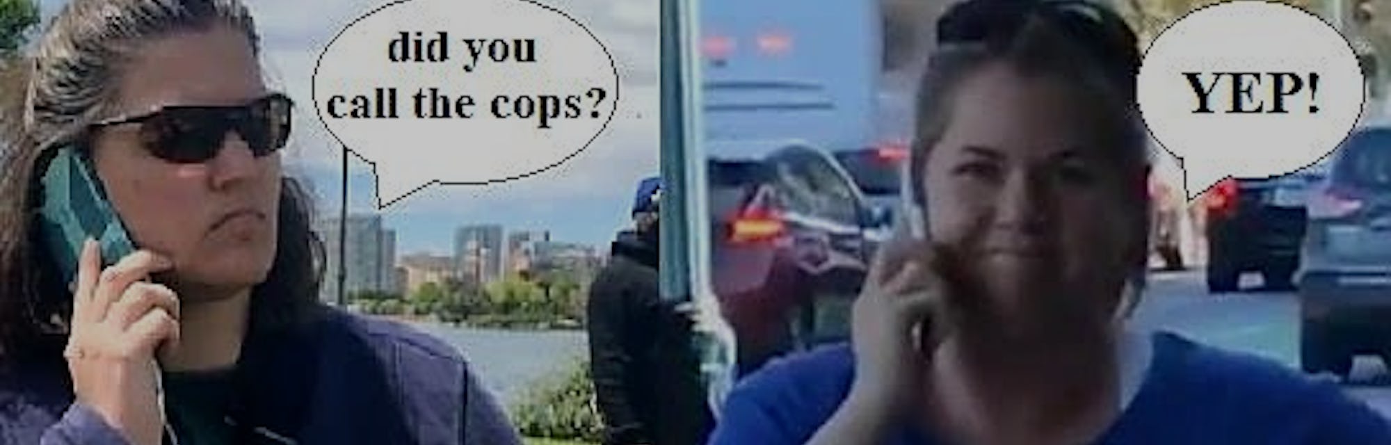 Permit Patty Bbq Becky And The Rise Of Activist Memes