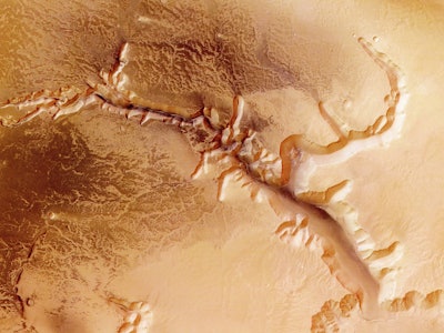 An image of the Martian canyonlands [Valles Marineris] split in two and eroded