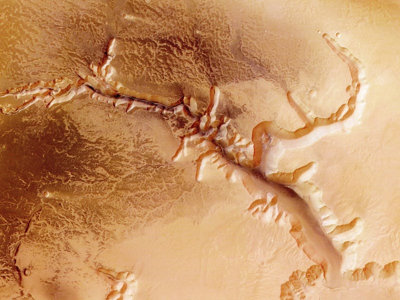 An image of the Martian canyonlands [Valles Marineris] split in two and eroded