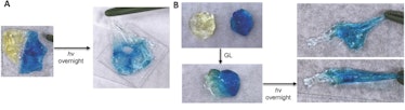 Photos showing different levels of strength of self-repairing material