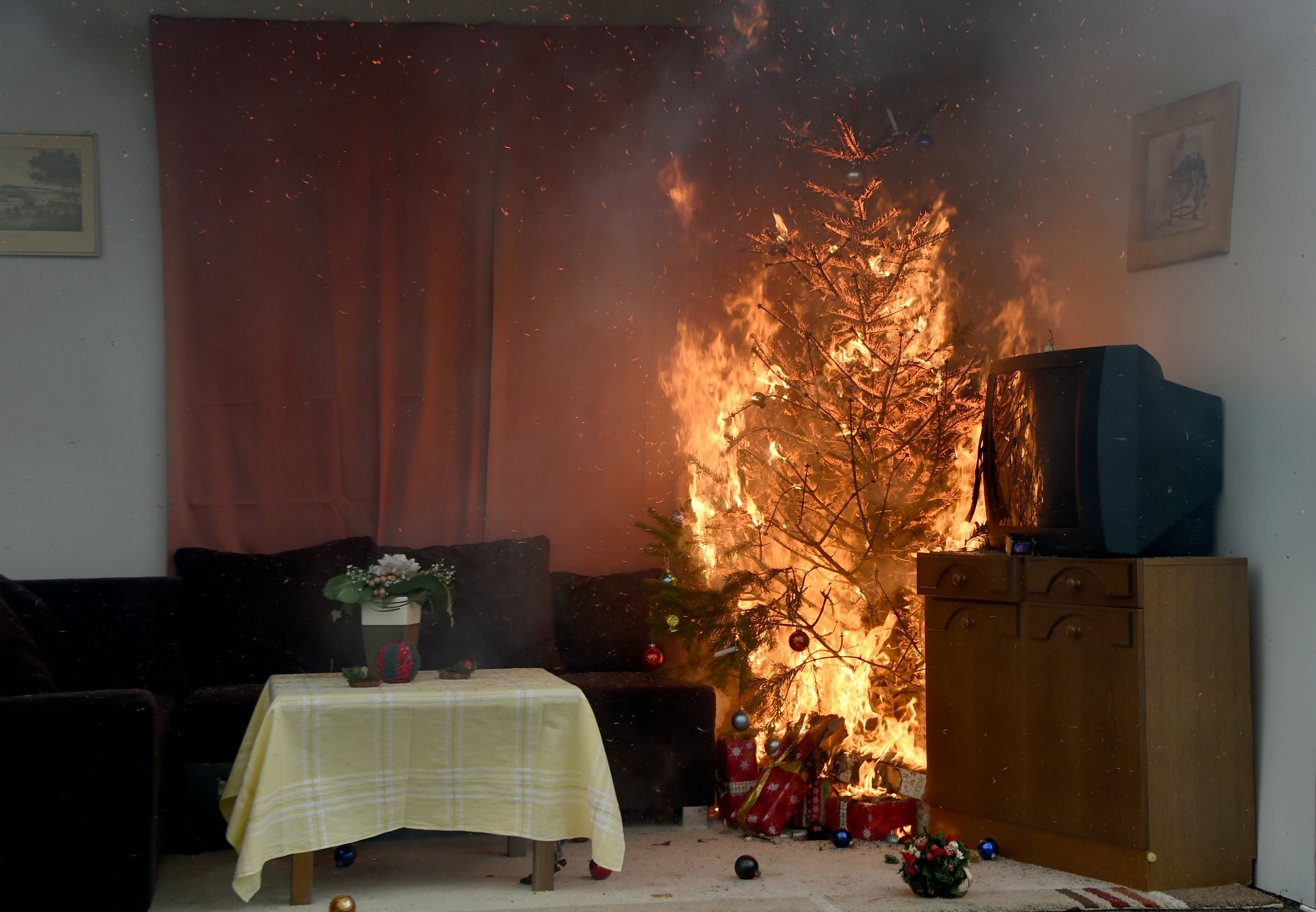 Bad Christmas Tree When To Take Down Your Christmas Tree