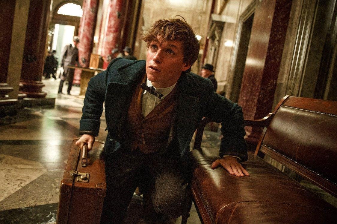 Everything You Need To Know About Newt Scamander In 'Fantastic Beasts'