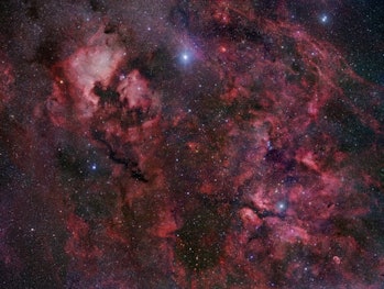Deneb is a major star in the Norther end of the Cygnus the Swan constellation. 