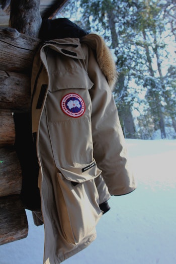 Those Canada Goose jacket hoods are made of coyote fur and now