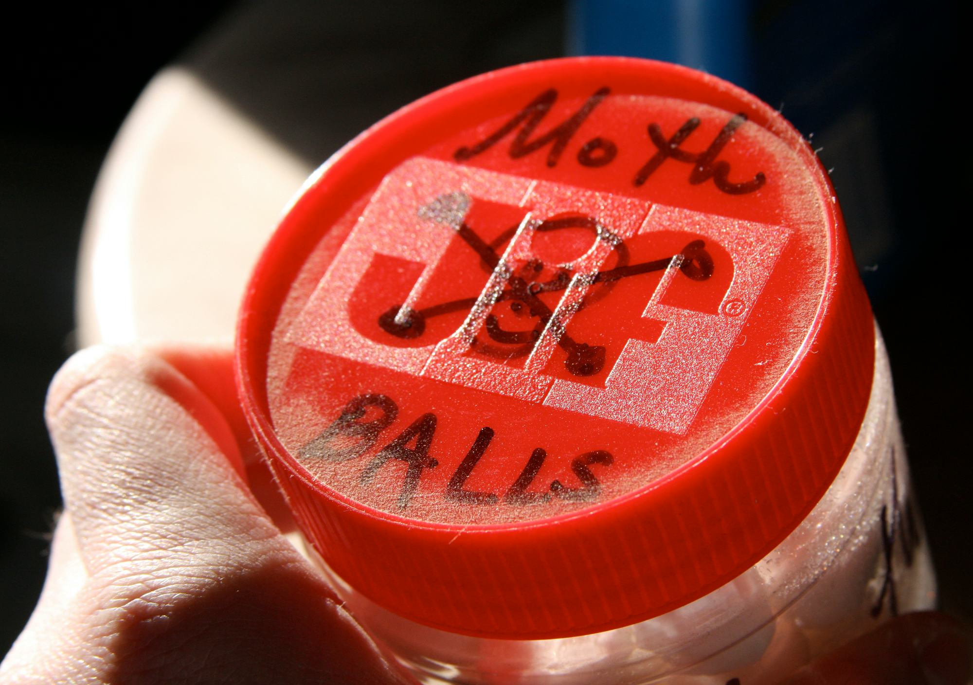 The Scientific Reason Why Cedar Keeps Moths Away From Old Clothes