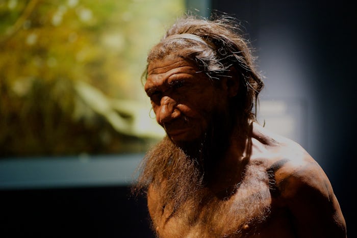 Blame Stray Neanderthal Genes for Bad Human Habits and Good Looks