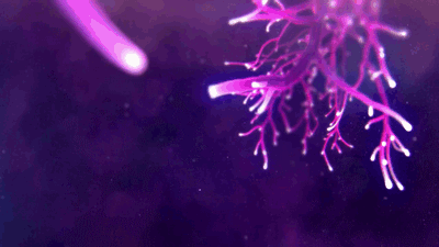 Why Take 5HTP After MDMA? Because Serotonin and Science Are Good for You