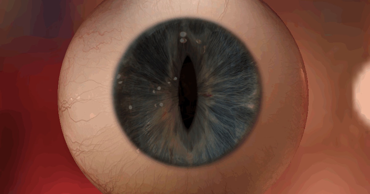 This Creepy Animated Eye Explains Pupil Dilation, So Stare Away