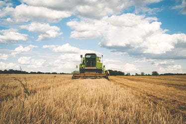 wheat harvest machine tractor