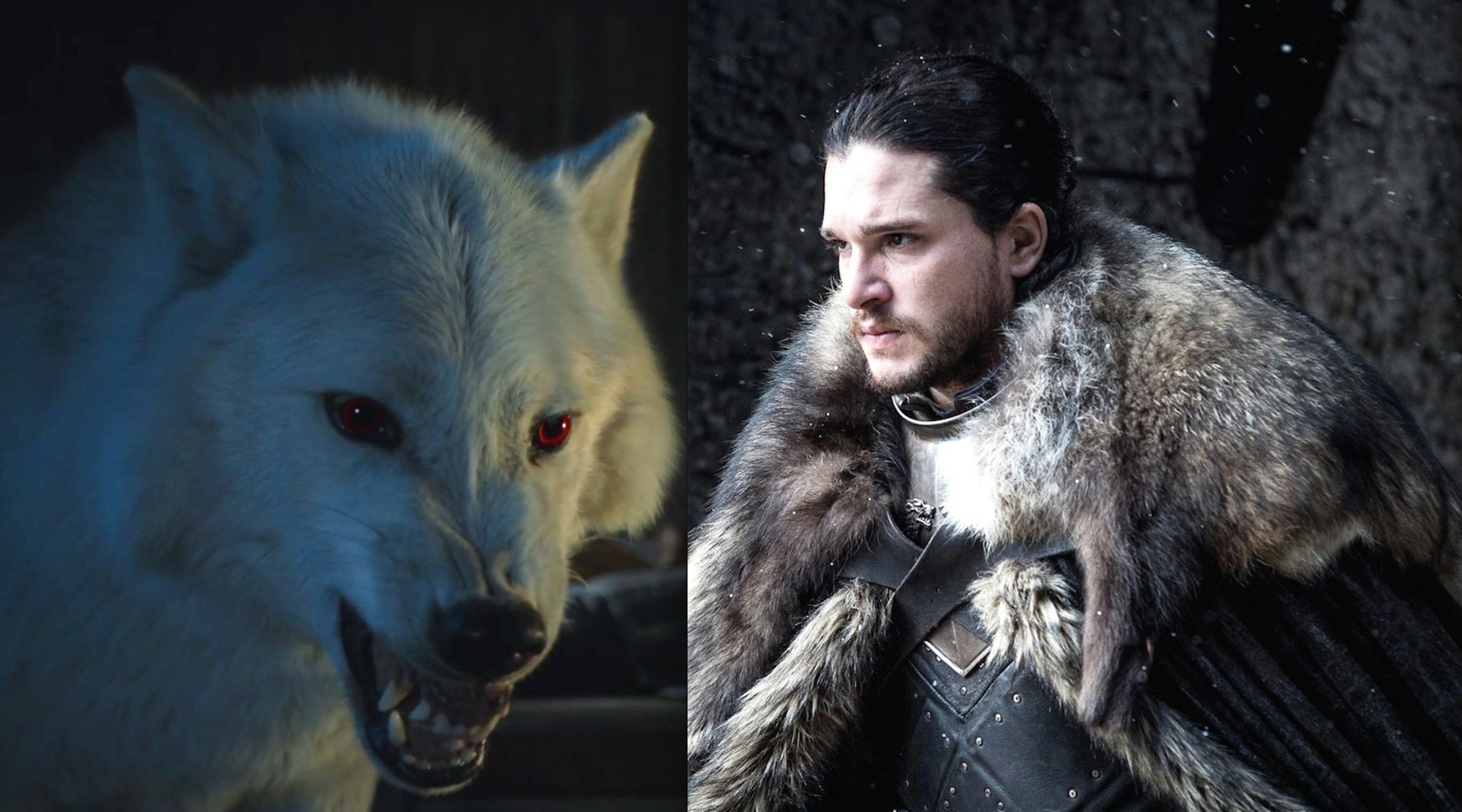 Game Of Thrones Season 8 Finale Leak May Reveal A Jon And Ghost