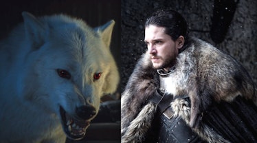 Ghost and Kit Harington as Jon Snow in 'Game of Thrones' Season 7