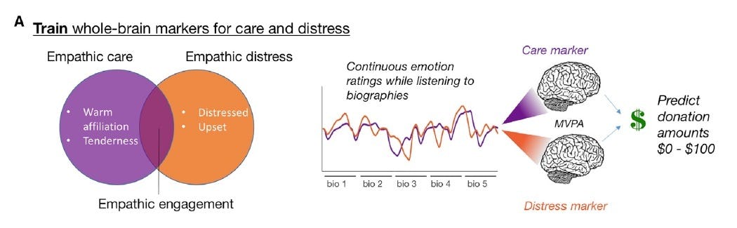 This Is Your Brain On Empathy