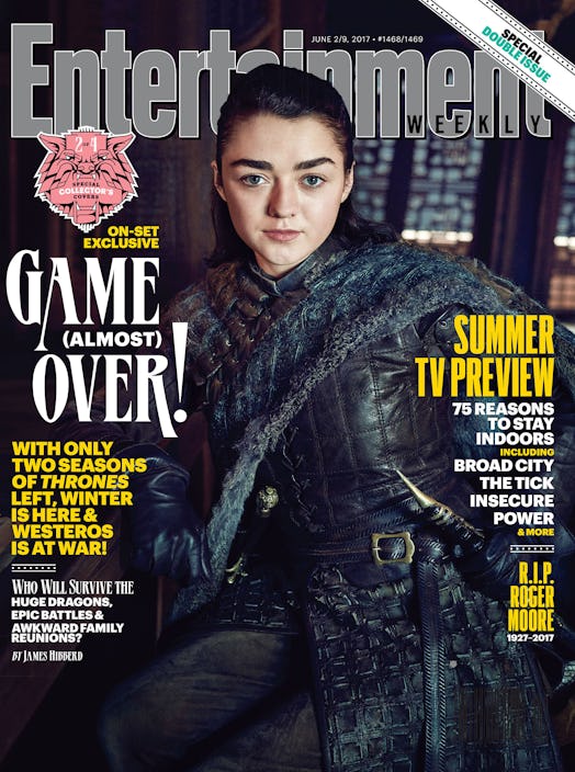You can clearly see Needle, which means that must be the catspaw dagger on Arya's left hip.