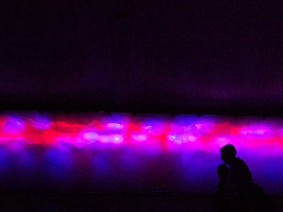 People walking next to a holographic image in purple and red