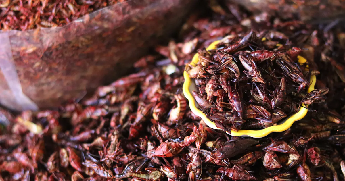 Edible Insects Revealed to Pack a Nutrient Punch Beyond Just Protein