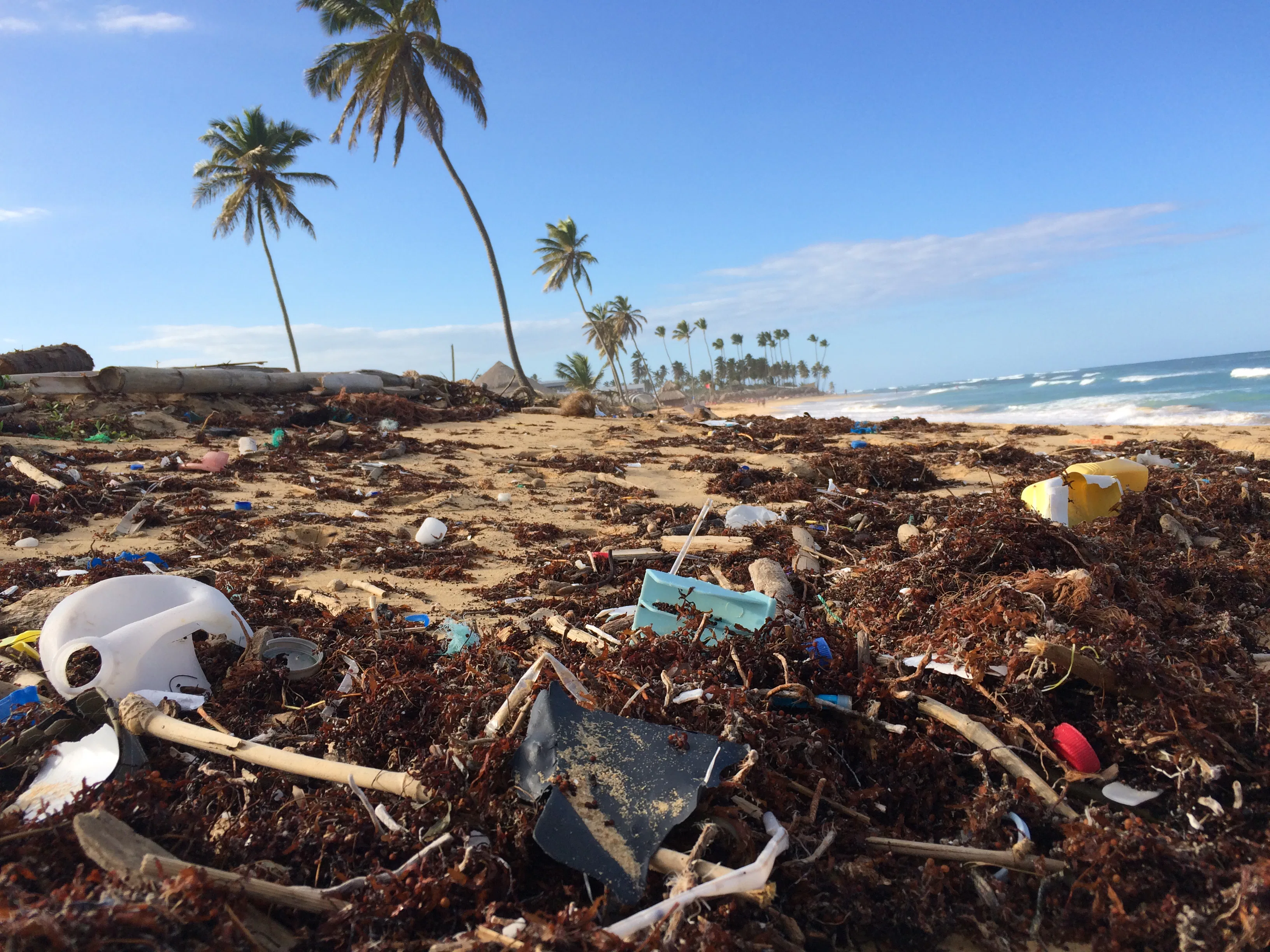 Why the World's Plastic Problem Is Harder to Solve Than a Massive Cleanup