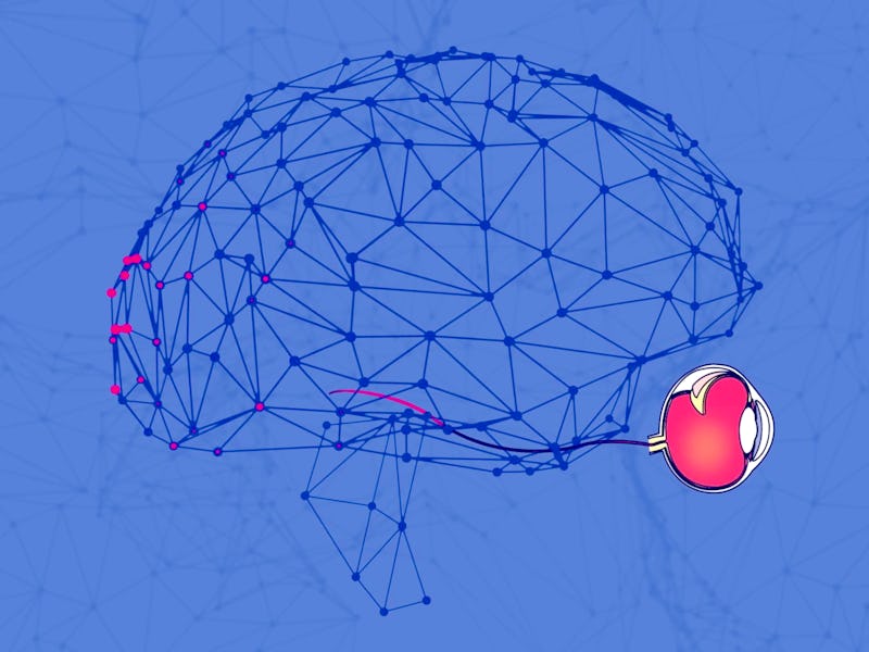 A brain illustration on blue background