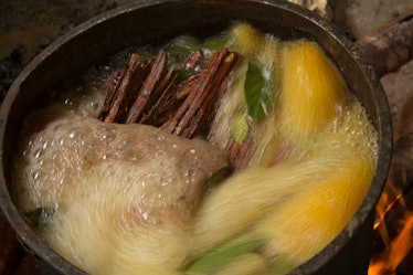 ayahuasca