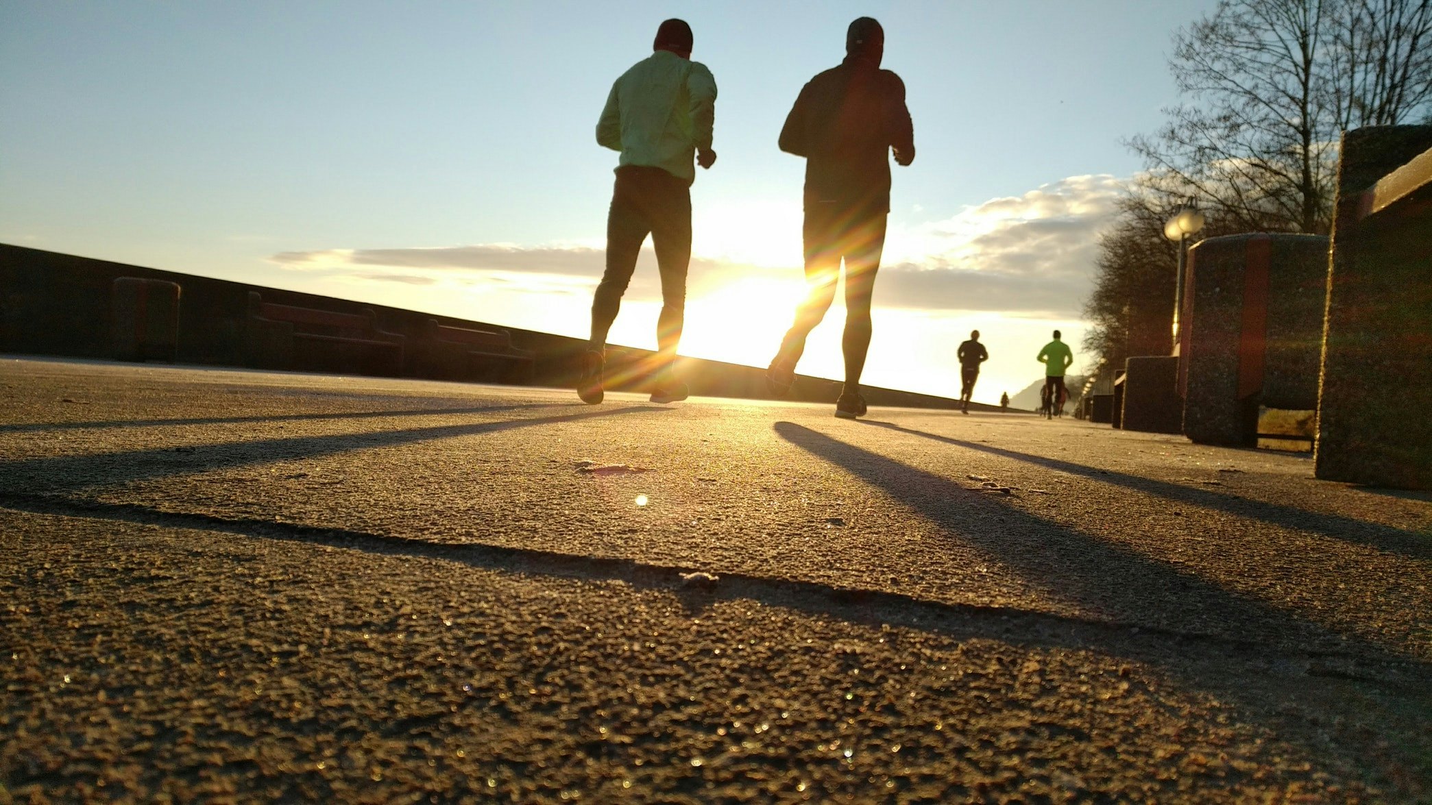 Jogging daily can slow cell aging by 9 years - EgyptToday