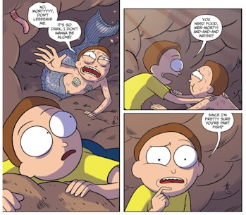 Each Morty variant the protagonist Morty encounters is pretty fucked up.